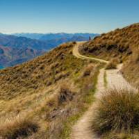 Wanaka Skyline Trail | Mal Law