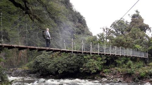 Crossing a swing bridge on the Hollyford Track |  <i>David Pittuck</i>