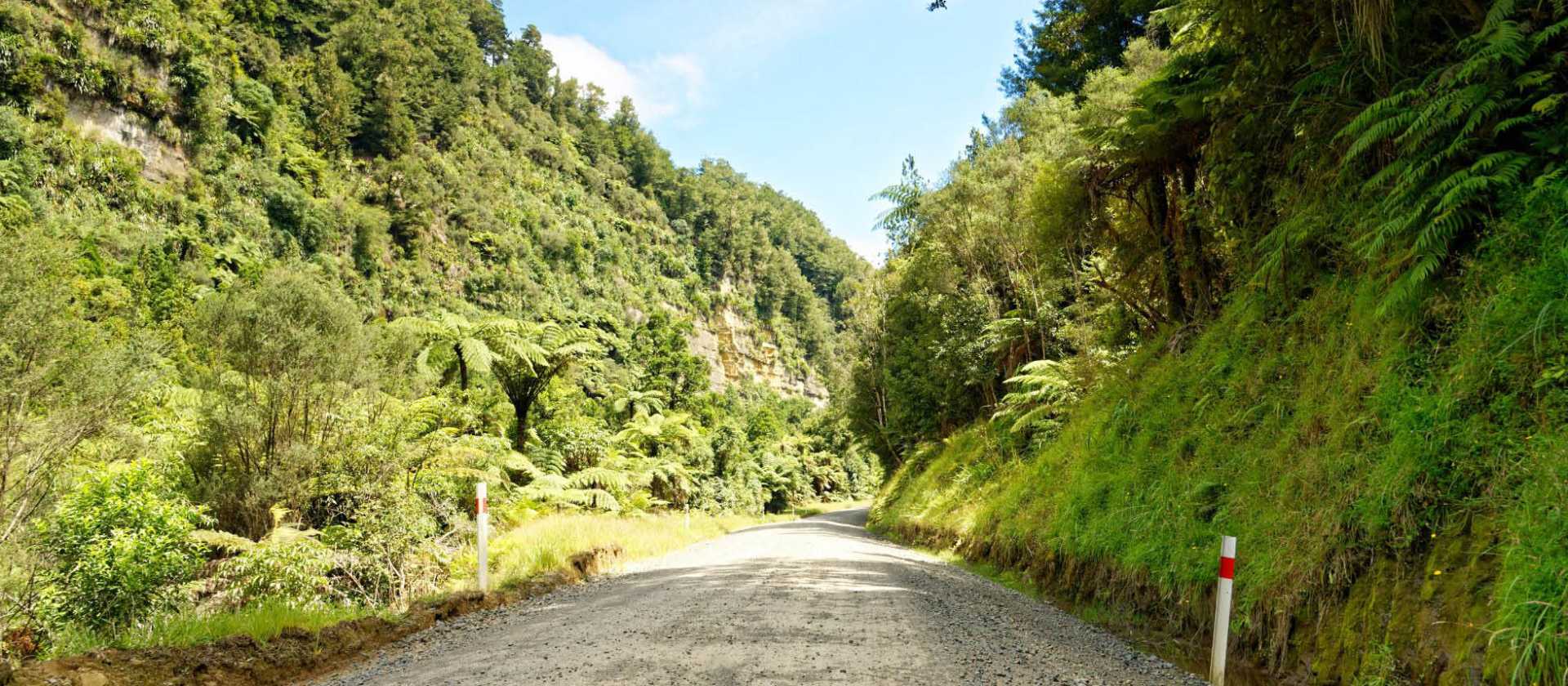 Scenery riding along the Forgotten Highway | Tristanbnz from Getty Images