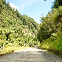 Scenery riding along the Forgotten Highway | Tristanbnz from Getty Images