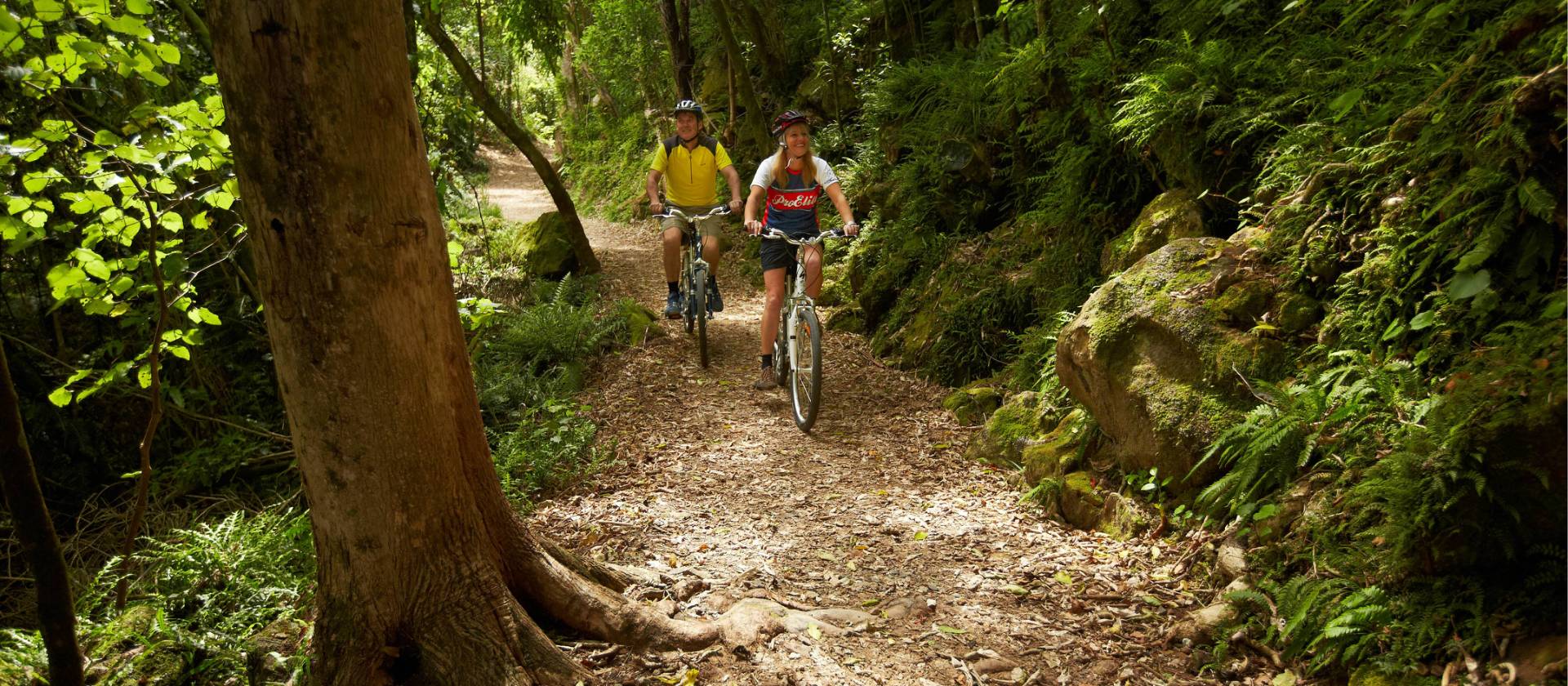 Cycling through the forest of the Timber Trail