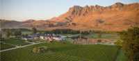 Wild expanses of vineyards can be seen as we cycle through the region of Havelock North | Graeme Murray
