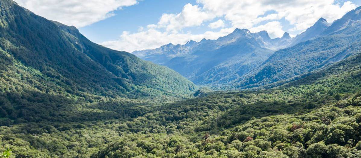 View of Hollyford Valley from Key Summit | Douglas McKay