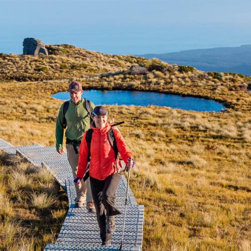 Walkers enjoy the remoteness of the Hump Ridge Track