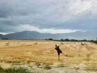 Farmland of the alps to ocean |  <i>Elaina Culbert</i>