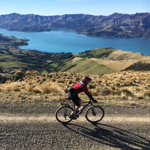 Overlooking Akaroa Harbour on Banks Peninsula