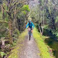 Enjoying the West Coast Wilderness Trail | Tracey Croke