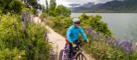 Cycling lakeside on the Alps to Ocean trail | Lachlan Gardiner