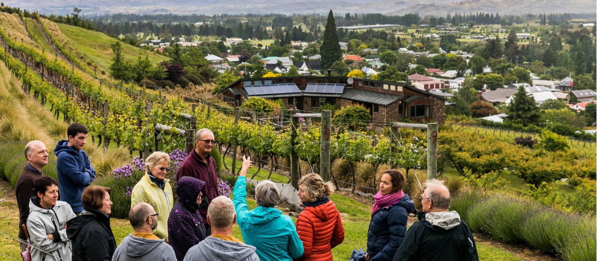 Clyde Village Vineyard wine tour | Lachlan Gardiner