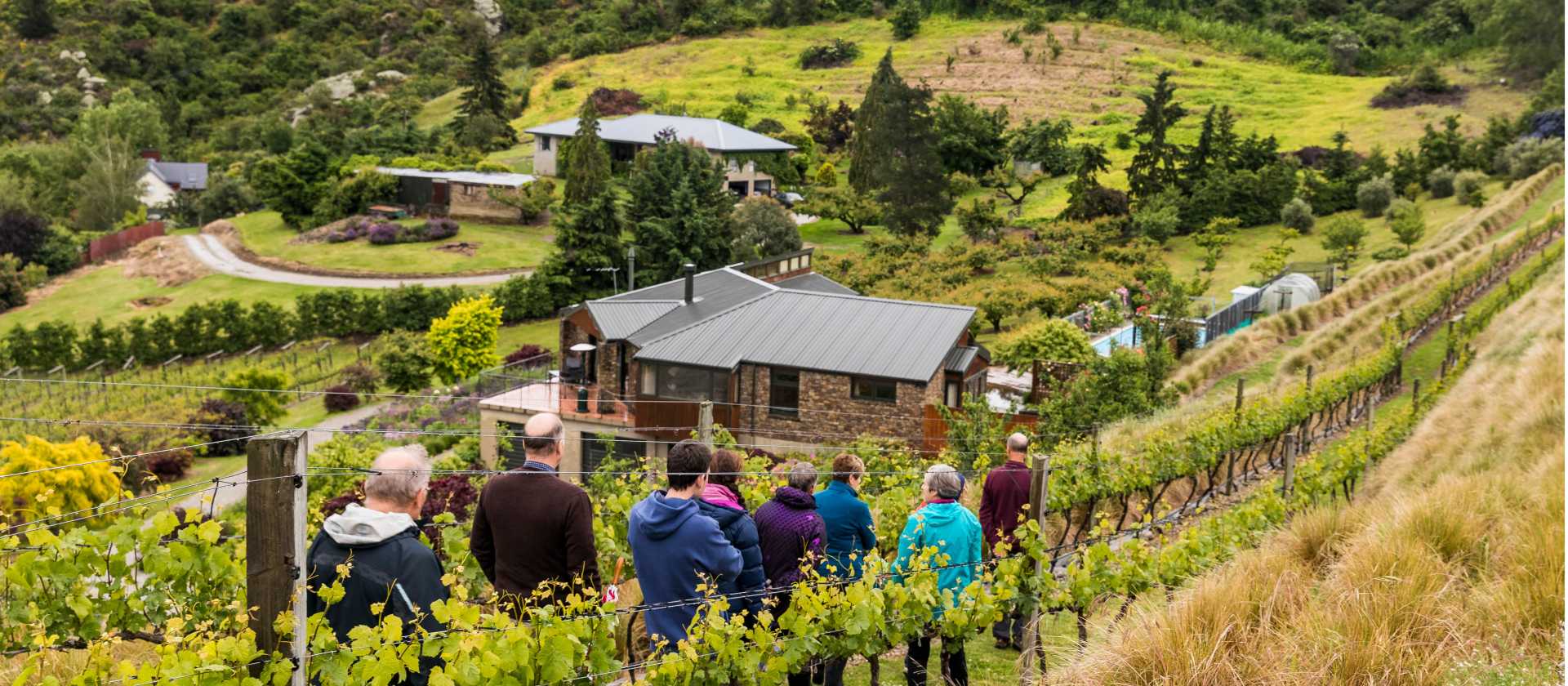 Visit the local Clyde Village Vineyard | Lachlan Gardiner