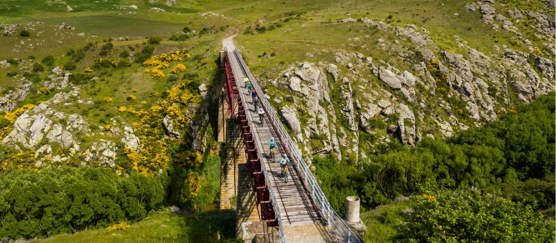Cycle over the grand Poolburn Viaduct | Lachlan Gardiner