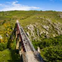 Cycle over the grand Poolburn Viaduct | Lachlan Gardiner