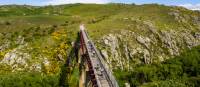 Cycle over the grand Poolburn Viaduct | Lachlan Gardiner