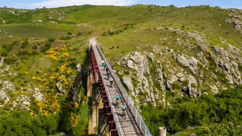 Cycle over the grand Poolburn Viaduct | Lachlan Gardiner