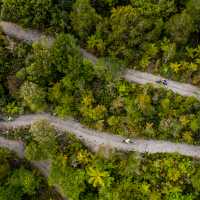 Cycling through the West Coast wetlands in New Zealand | Lachlan Gardiner