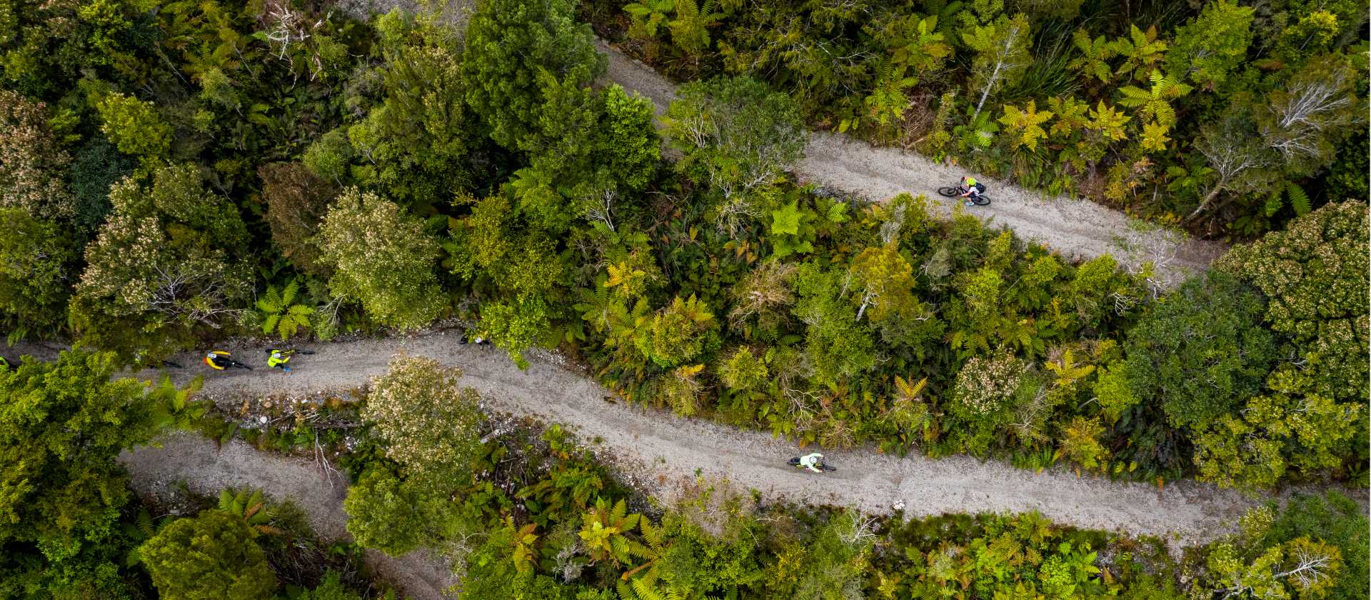 Cycling through the West Coast wetlands in New Zealand | Lachlan Gardiner