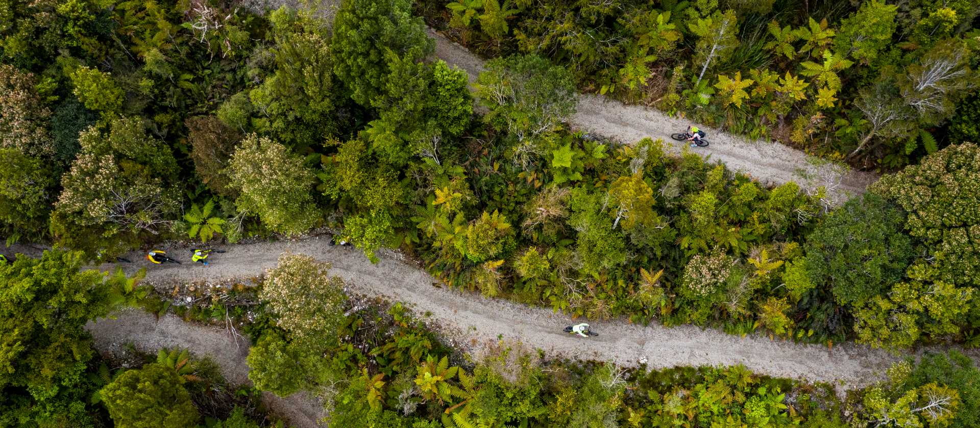 Cycling through the West Coast wetlands in New Zealand | Lachlan Gardiner