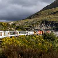Experience the world class TranzAlpine train journey from the West Coast to Christchurch | Lachlan Gardiner