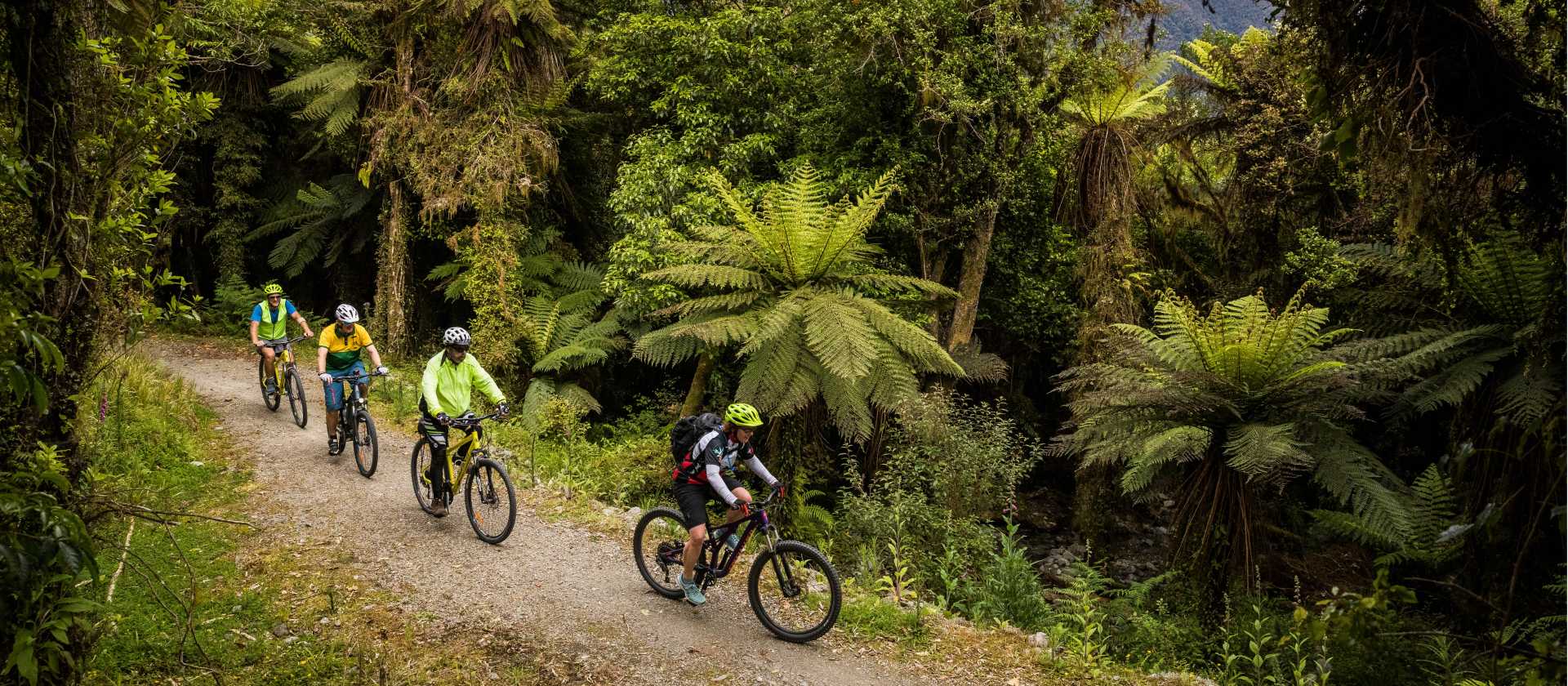Cycle through lush native bush and birdsong | Lachlan Gardiner