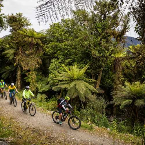 West Coast Wilderness Cycle Trail Guided Trip NZ