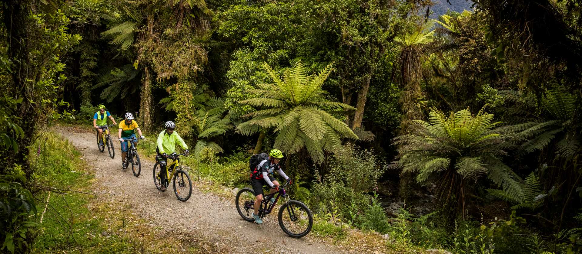 Cycle through lush native bush and birdsong | Lachlan Gardiner