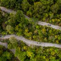 Cycling through the West Coast wetlands in New Zealand | Lachlan Gardiner