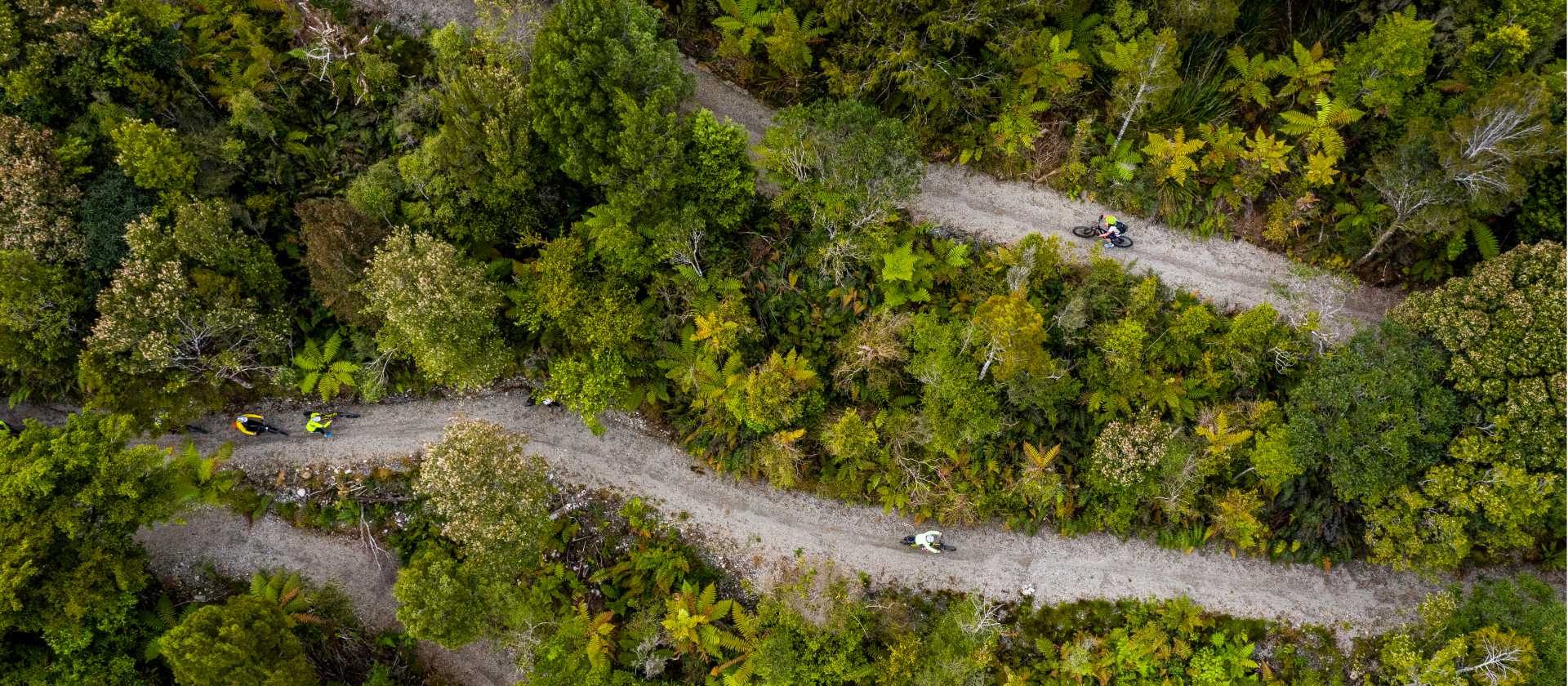 Cycling through the West Coast wetlands in New Zealand | Lachlan Gardiner