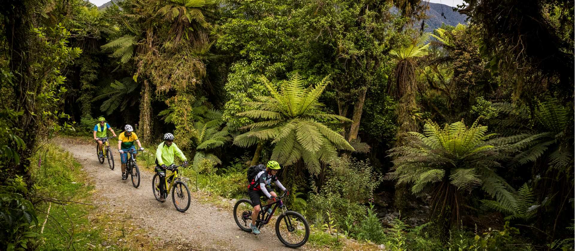 Cycle through lush native bush and birdsong | Lachlan Gardiner