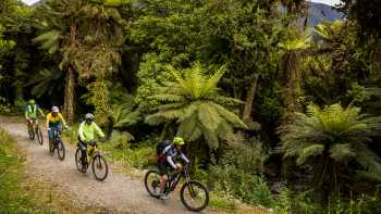Cycle through lush native bush and birdsong | Lachlan Gardiner