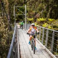 McPherson Creek swingbridge | Lachlan Gardiner