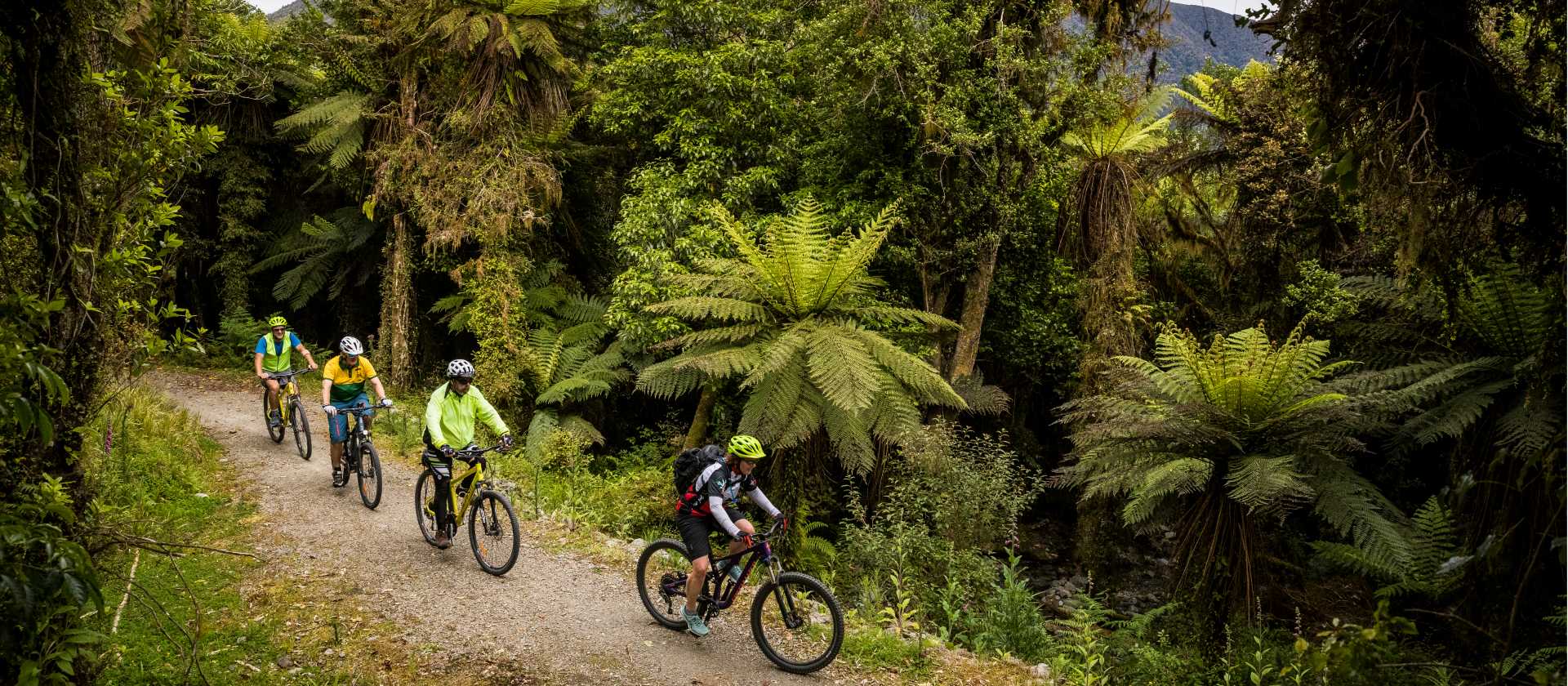 Cycle through lush native bush and birdsong | Lachlan Gardiner