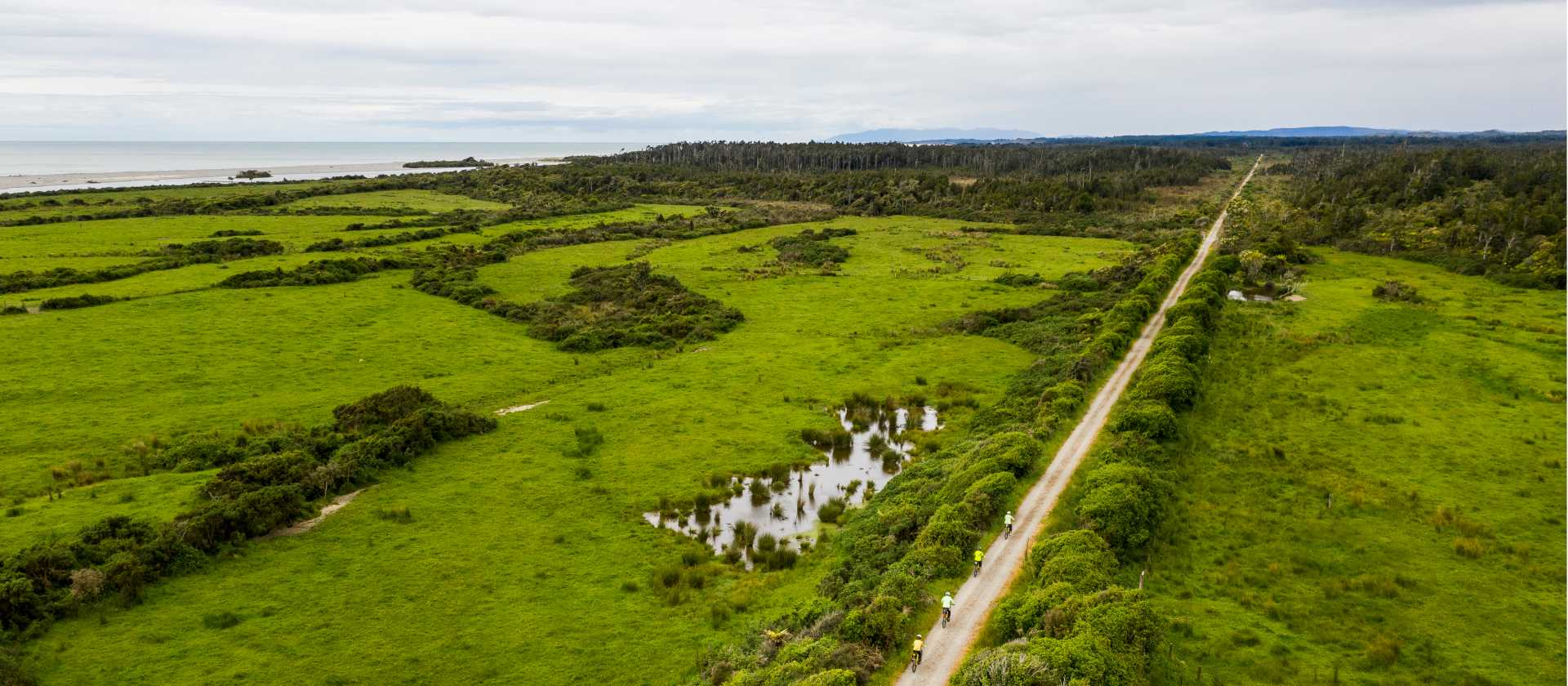 Cycling through the West Coast wetlands | Lachlan Gardiner