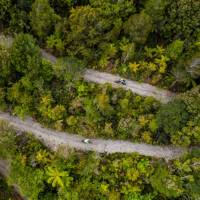 Cycling through the West Coast wetlands in New Zealand | Lachlan Gardiner