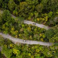 Cycling through the West Coast wetlands in New Zealand | Lachlan Gardiner