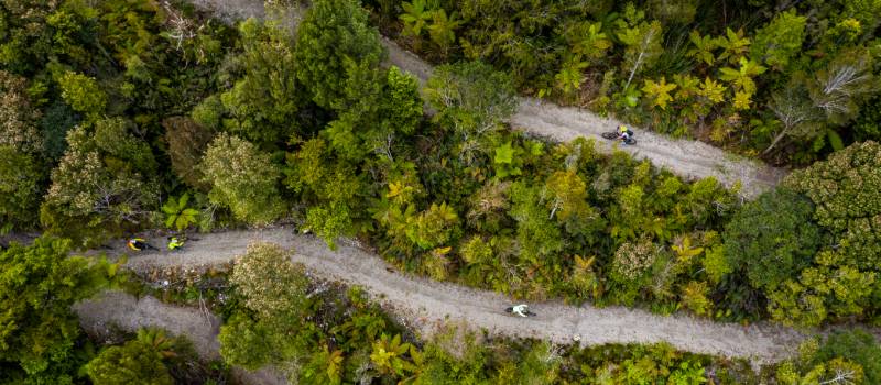 Cycling through the West Coast wetlands in New Zealand |  <i>Lachlan Gardiner</i>