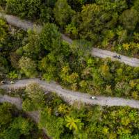 Cycling through the West Coast wetlands in New Zealand | Lachlan Gardiner