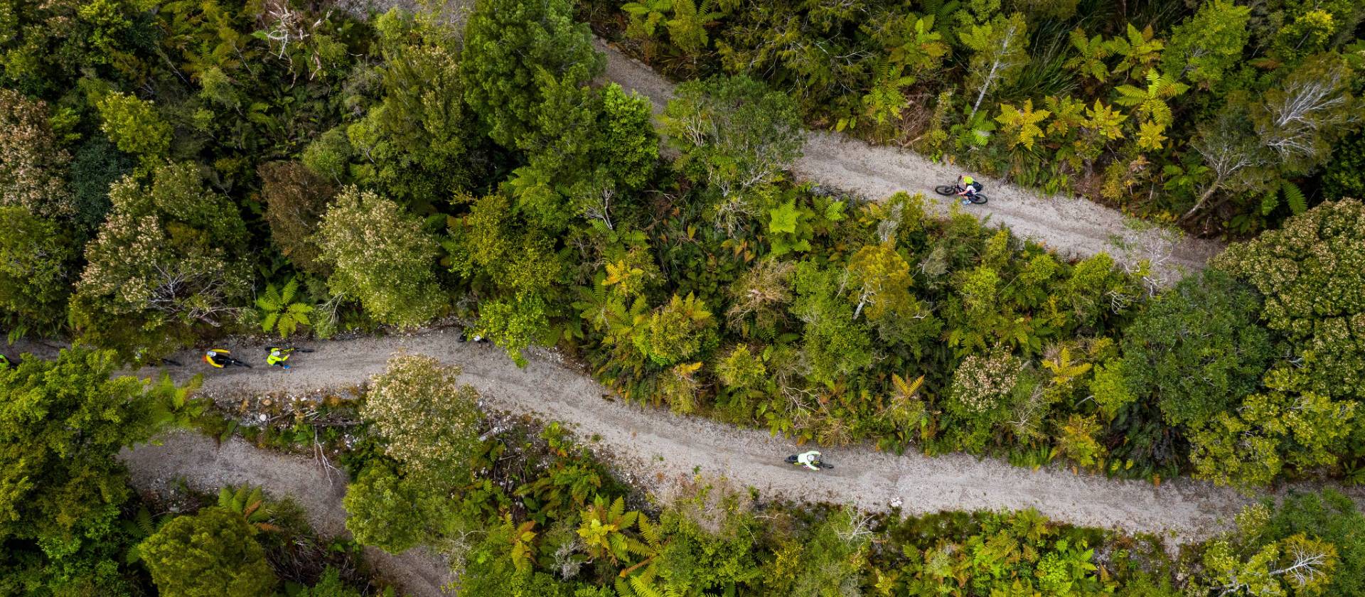 Cycling through the West Coast wetlands in New Zealand | Lachlan Gardiner