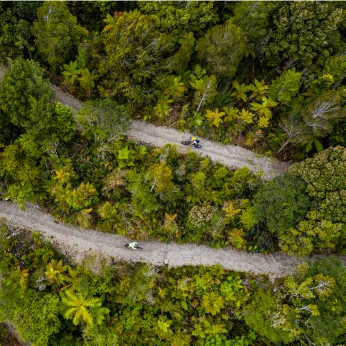 Cycling through the West Coast wetlands in New Zealand