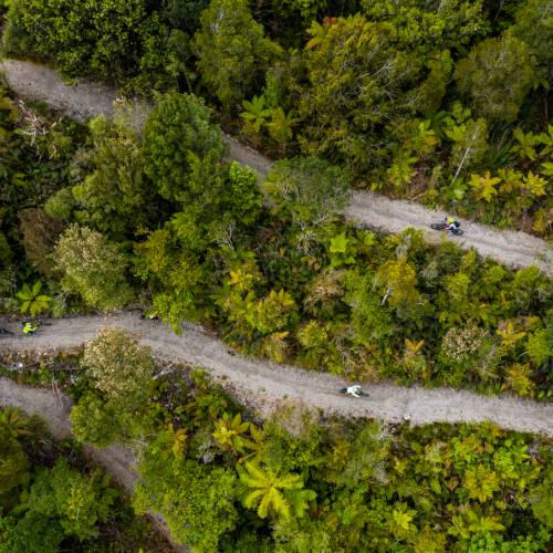Cycling through the West Coast wetlands in New Zealand