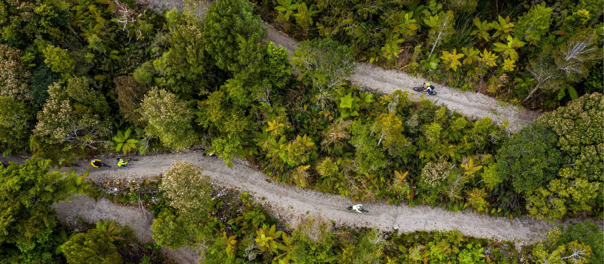 Cycling through the West Coast wetlands in New Zealand | Lachlan Gardiner