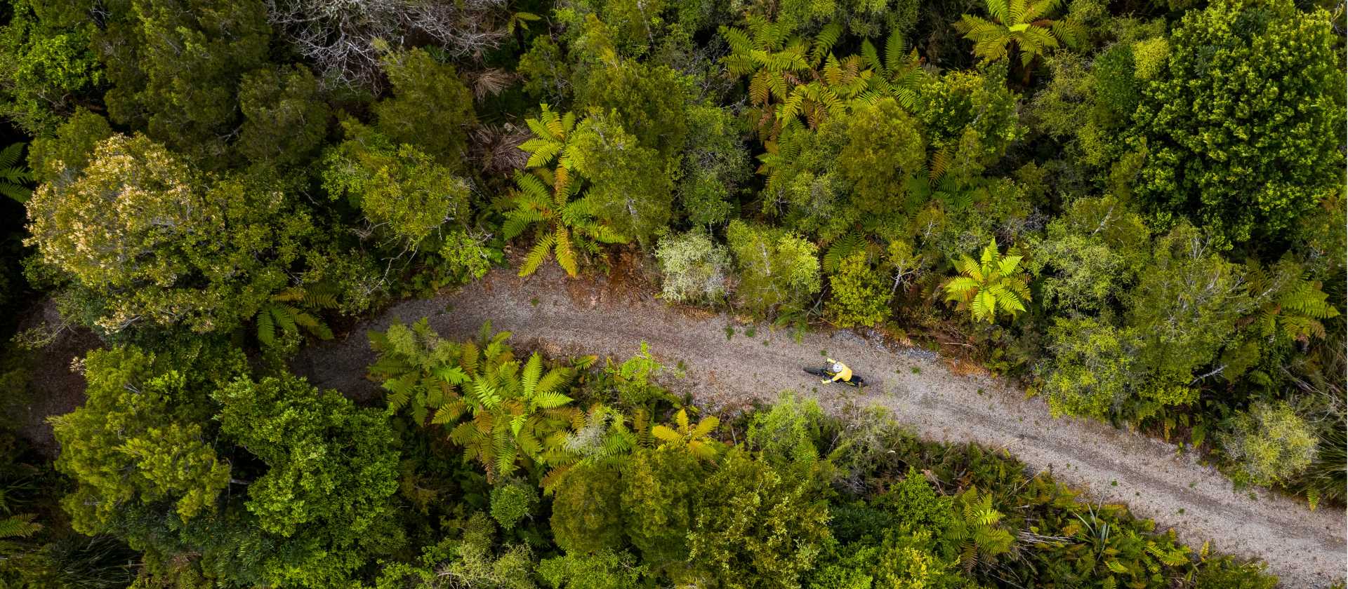 Cycling through the West Coast wetlands | Lachlan Gardiner