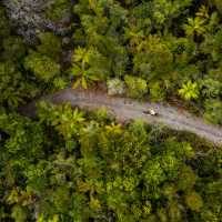 Cycling through the West Coast wetlands | Lachlan Gardiner