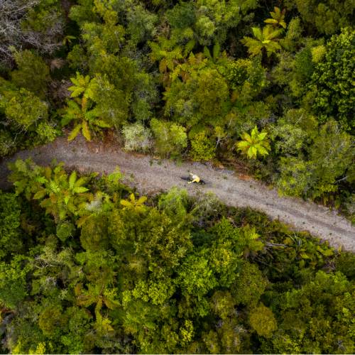 Cycling through the West Coast wetlands
