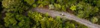 Cycling through the West Coast wetlands |  <i>Lachlan Gardiner</i>