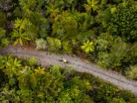 Cycling through the West Coast wetlands |  <i>Lachlan Gardiner</i>