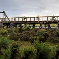 West Coast Wilderness Cycle Trail | Lachlan Gardiner