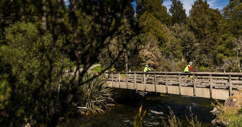 West Coast Wilderness Cycle Trail |  <i>Lachlan Gardiner</i>