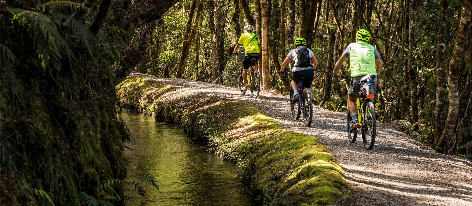 West Coast Wilderness Cycle Trail | Lachlan Gardiner