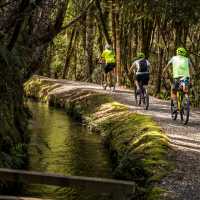 West Coast Wilderness Cycle Trail | Lachlan Gardiner