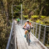 McPherson Creek swingbridge | Lachlan Gardiner